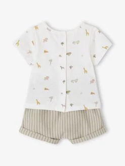 Ensemble Naissance T-shirt Imprimé Et Short Rayé - Kaki -Vertbaudet Soldes Boutique ensemble naissance t shirt imprime et short raye 3