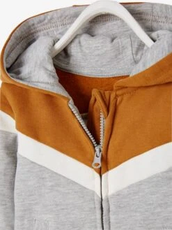 Gilet Zippé Bébé Garçon à Capuche - Cannelle -Vertbaudet Soldes Boutique gilet zippe bebe garcon a capuche 3