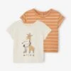 Lot De 2 T-shirts Basics Bébé Manches Courtes - Caramel -Vertbaudet Soldes Boutique lot de 2 t shirts basics bebe manches courtes 10