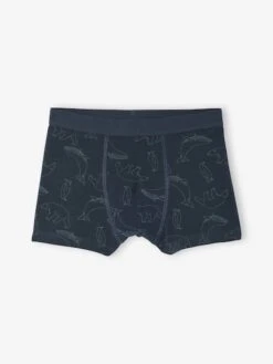 Lot De 7 Boxers Garçon Rayés Et Imprimés Ours - Vert -Vertbaudet Soldes Boutique lot de 7 boxers garcon rayes et imprimes ours 5