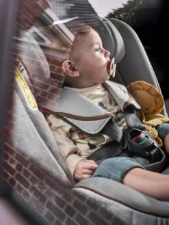 Joie Siège-auto Rotatif I-Spin Grow Signature I-Size 40 à 125 Cm, équivalence Groupe 0+/1/2 - Eclipse 12 Joie Siège-auto Rotatif I-Spin Grow Signature I-Size 40 à 125 Cm, équivalence Groupe 0+/1/2 - Eclipse -Vertbaudet Soldes Boutique siege auto rotatif i spin grow signature i size 40 a 125 cm equivalence groupe 012 4