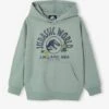 Sweat à Capuche Jurassic World - Lichen 17 Sweat à Capuche Jurassic World - Lichen -Vertbaudet Soldes Boutique sweat a capuche jurassic world