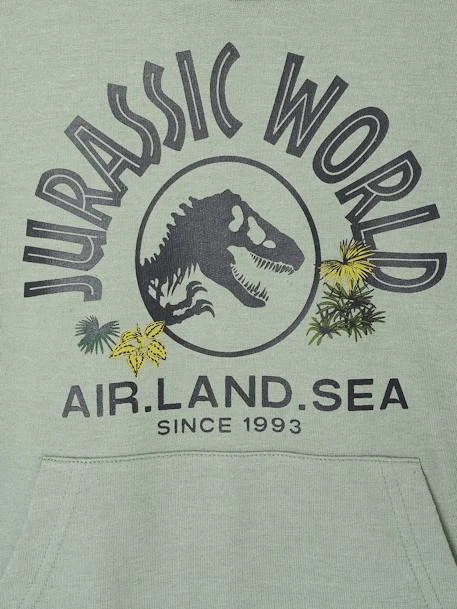Sweat à Capuche Jurassic World - Lichen 3 Sweat à Capuche Jurassic World - Lichen – Image 3