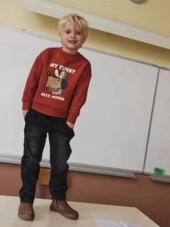 Sweat Chien Imprimé Garçon - Rayé Blanc -Vertbaudet Soldes Boutique sweat chien imprime garcon 19