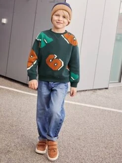 Sweat Col Rond Maxi Motifs Garçon - Vert Sapin -Vertbaudet Soldes Boutique sweat col rond maxi motifs garcon 4