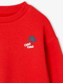 Sweat Motif Vacances Au Dos Garçon - Rouge -Vertbaudet Soldes Boutique sweat motif vacances au dos garcon 2