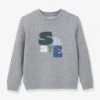 Cyrillus Sweat Skate Garçon - Gris -Vertbaudet Soldes Boutique sweat skate garcon