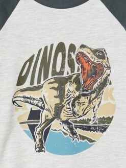 T-shirt Motif Graphique Garçon Manches Raglan - Gris Chiné -Vertbaudet Soldes Boutique t shirt motif graphique garcon manches raglan 11