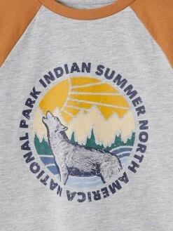 T-shirt Motif Graphique Garçon Manches Raglan - Gris Chiné -Vertbaudet Soldes Boutique t shirt motif graphique garcon manches raglan 16