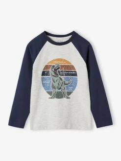 T-shirt Motif Graphique Garçon Manches Raglan - Gris Chiné