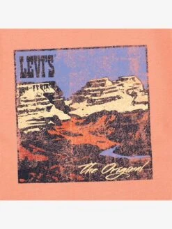 Levis Tee-shirt Canyon Landscape LEVI'S - Orange -Vertbaudet Soldes Boutique tee shirt canyon landscape levis 3